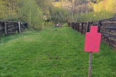 Puška - 100m